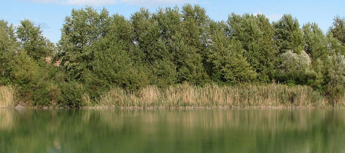 Ricco programma per le visite al lago Vicini
