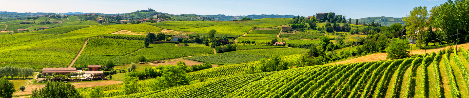 Fondazione Carifano Crowfunding 2022