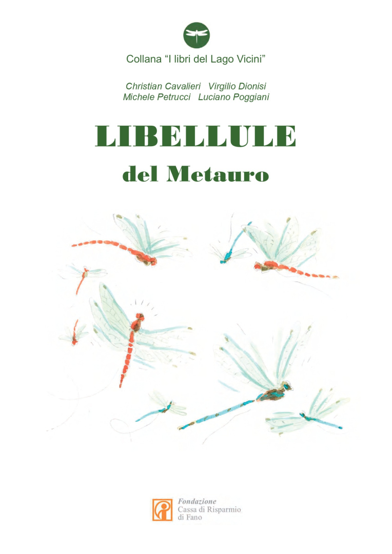 Libellule del Metauro