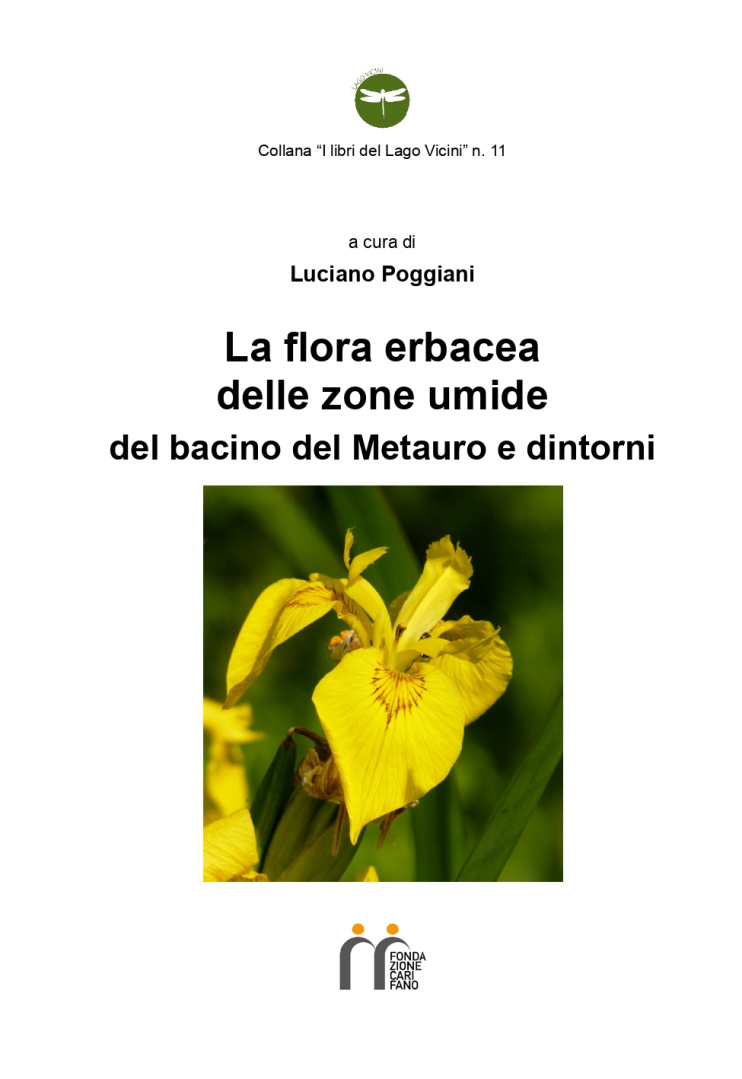 La flora erbacea delle zone umide del bacino del Metauro