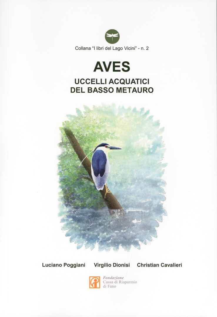 Aves – Gli uccelli acquatici del basso Metauro