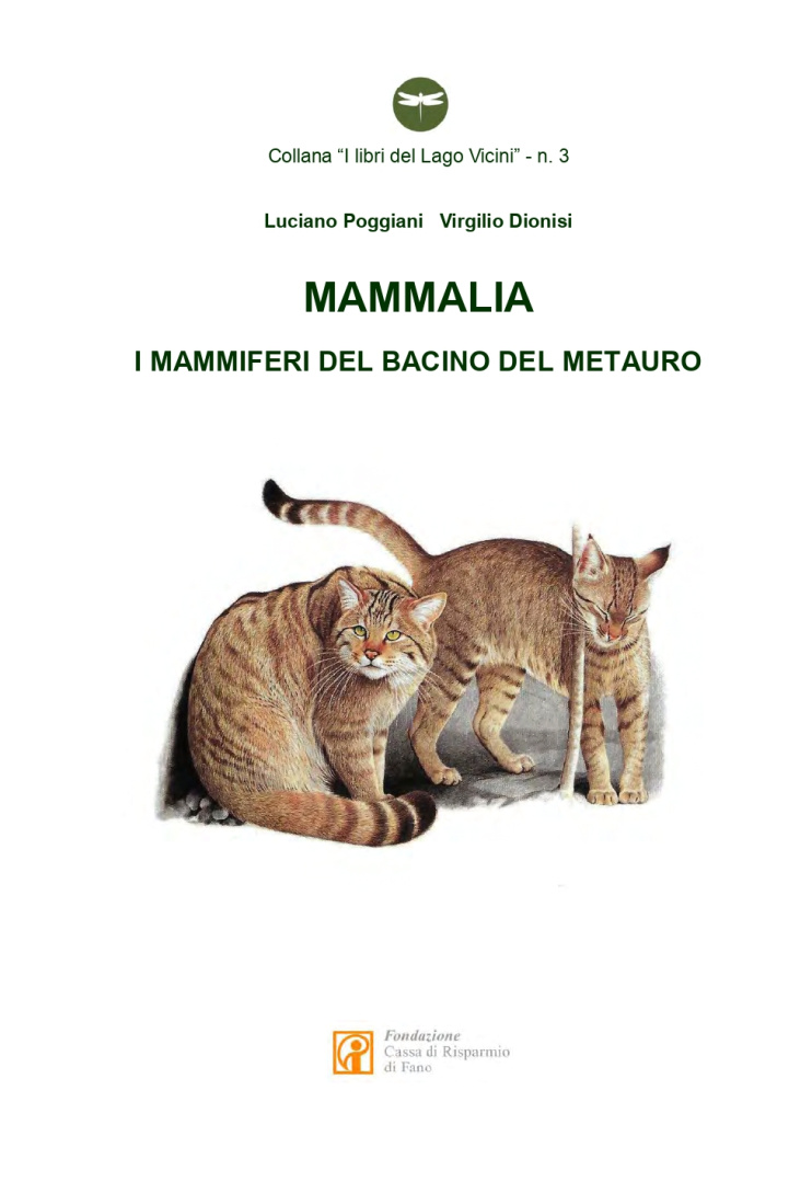 Mammalia – i mammiferi del bacino del Metauro