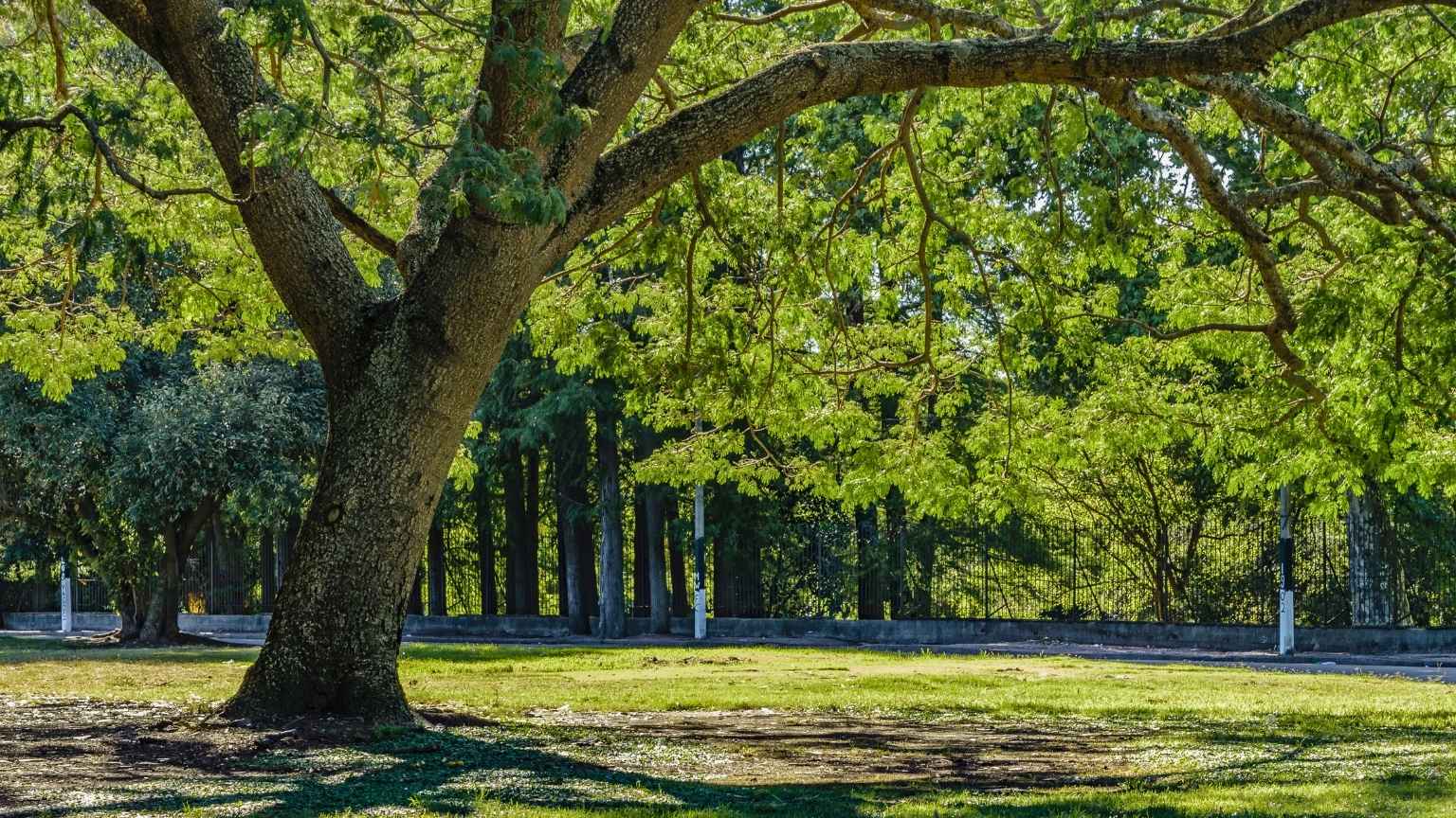La Fondazione Carifano acquisisce 13 ettari del Vivaio Uguccioni: nasce il futuro parco urbano della città